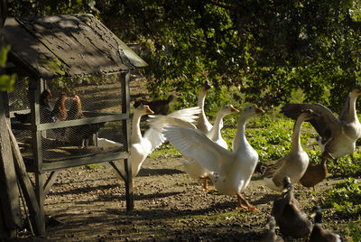 Nature en Gascogne