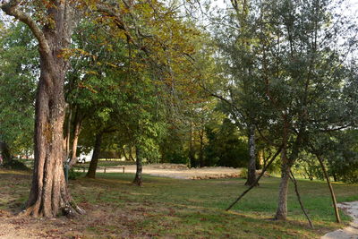 Camping à Larée dans le Gers, emplacements arborés